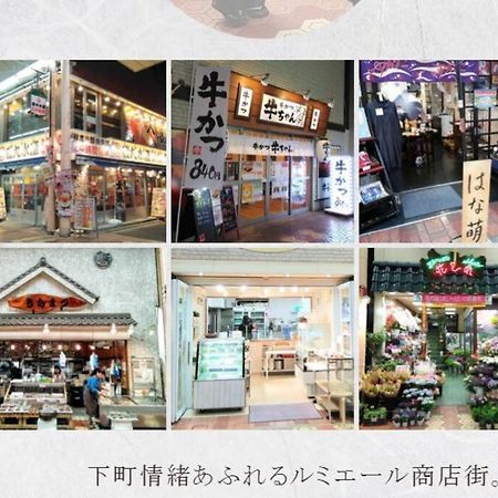 Shinkoiwa House At Jr Line.Easy To Airport&Disney. Tokio Exterior foto